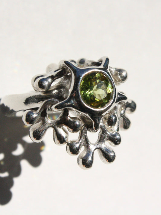 Five Charm Ring 250209