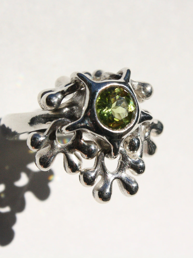 Five Charm Ring 250209