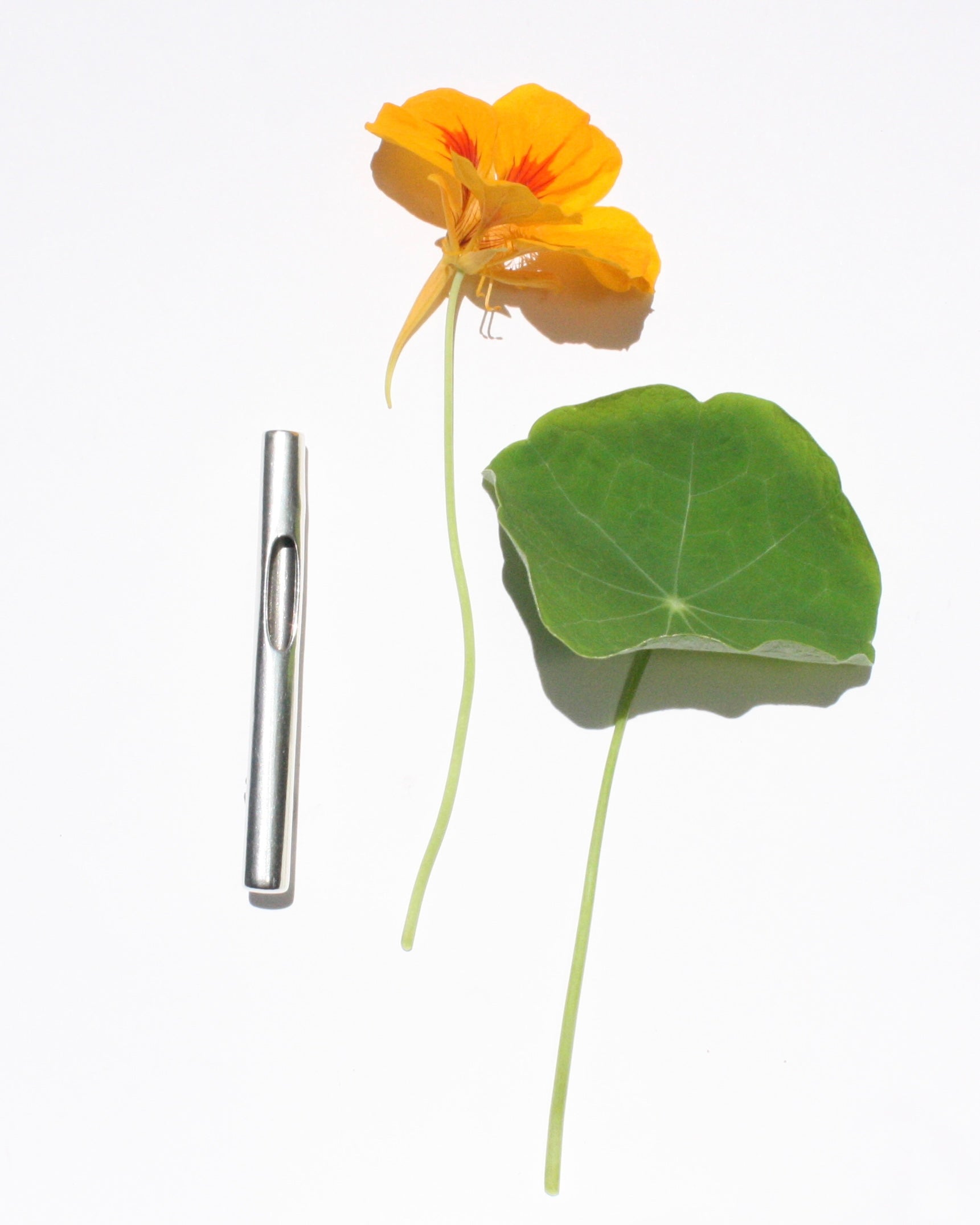 Boutonnière 260624