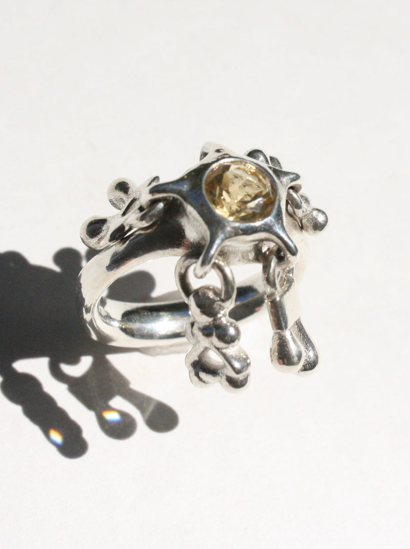 Ring AW2026-07