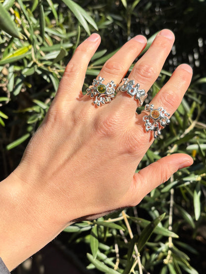 Five Charm Ring 250209