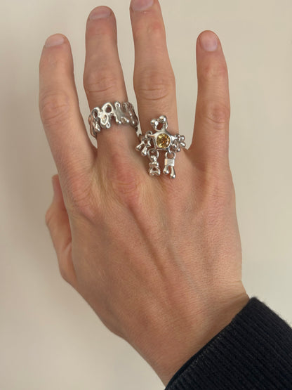 Ring AW2026-07