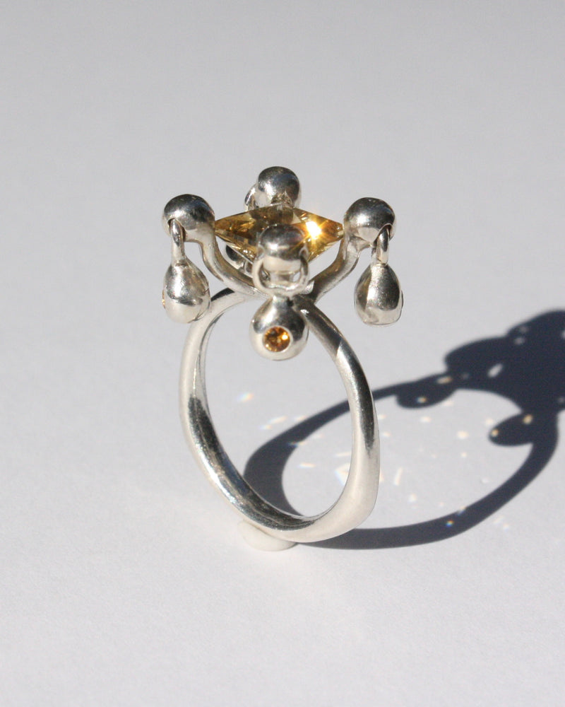 Ring AW2026-03