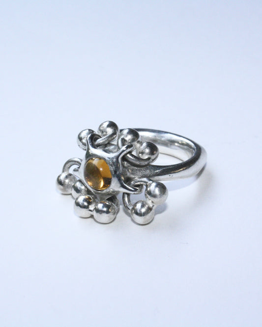 Ring AW2026-02
