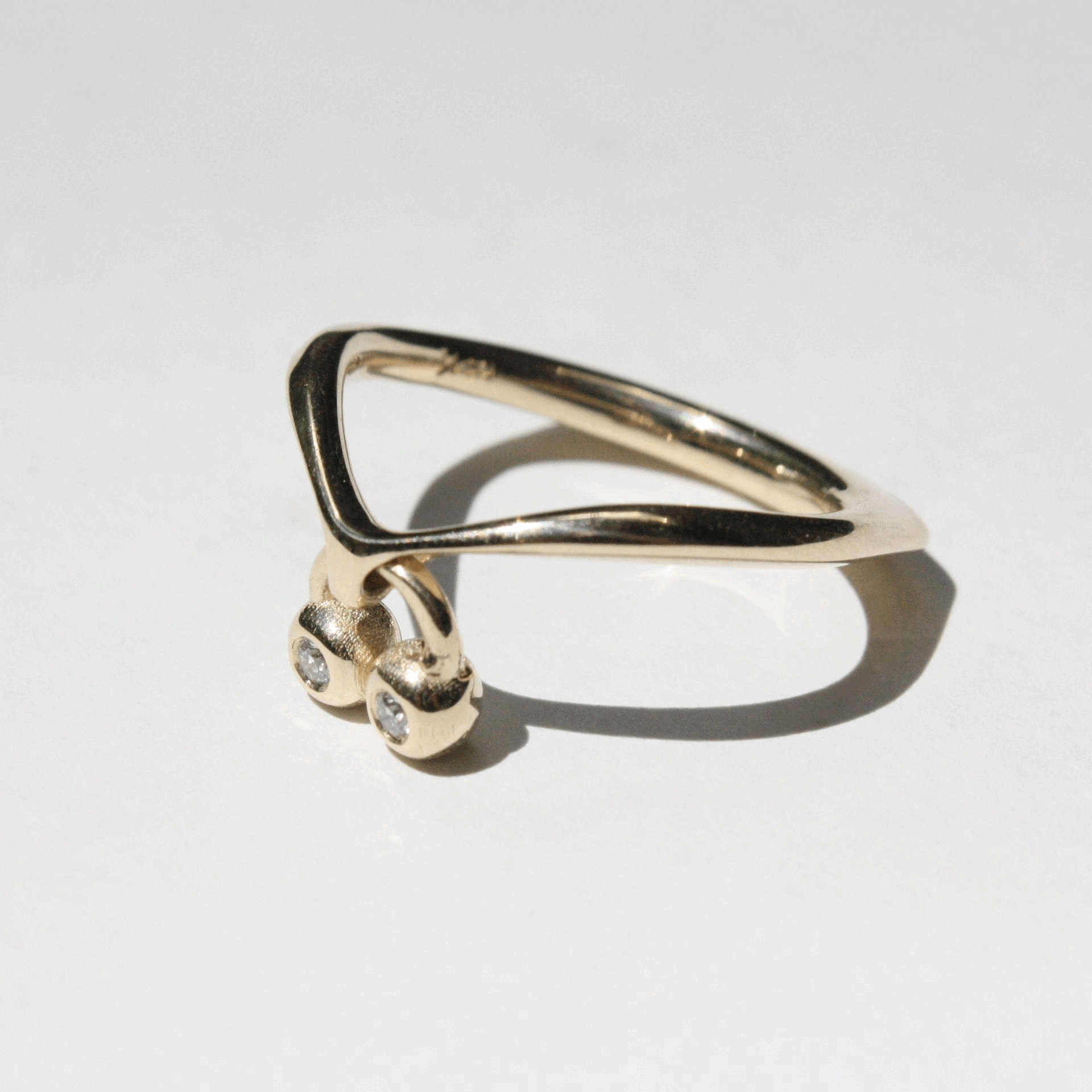 Ring Pair 250826