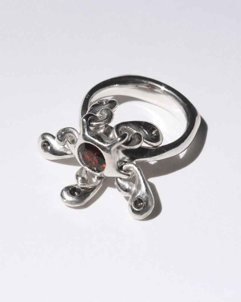 Ring AW2026-01